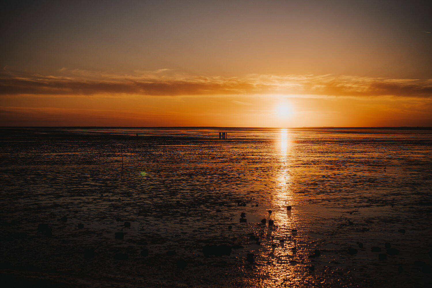 Weite Landschaft Ostfrieslands rund um Norden an der Nordsee
