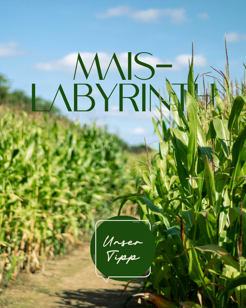 events-erlebnisse/luetetsburger-maislabyrinth-s214742